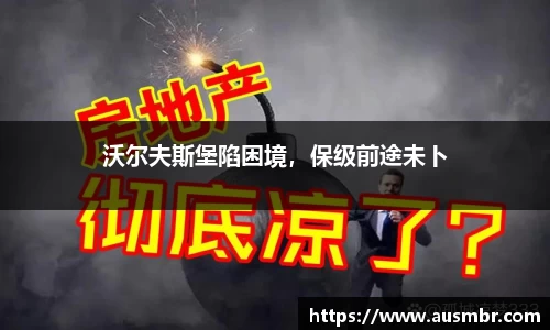 沃尔夫斯堡陷困境，保级前途未卜