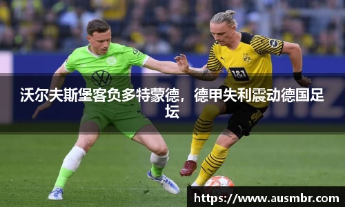 易倍emc体育APP
