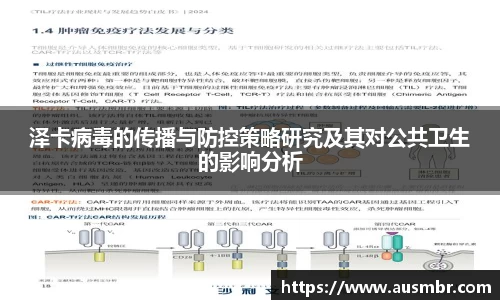 泽卡病毒的传播与防控策略研究及其对公共卫生的影响分析