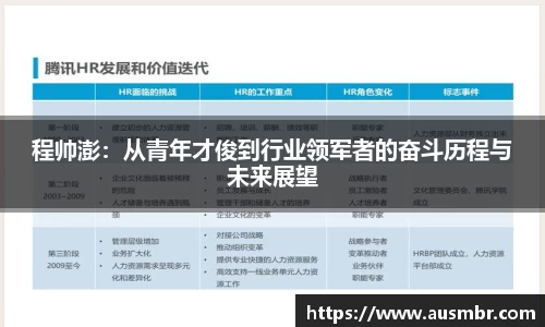 程帅澎：从青年才俊到行业领军者的奋斗历程与未来展望